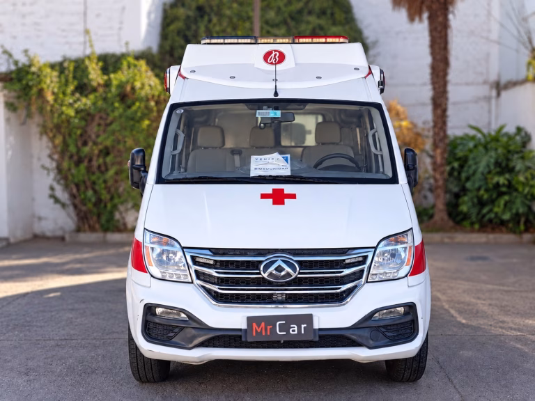 Maxus EV80 Cargo VAN