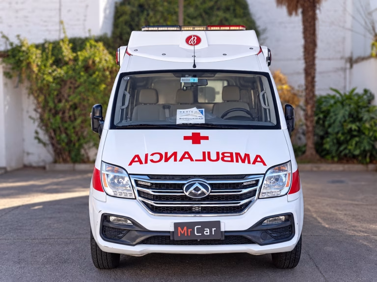 Maxus Ev80 Cargo Van